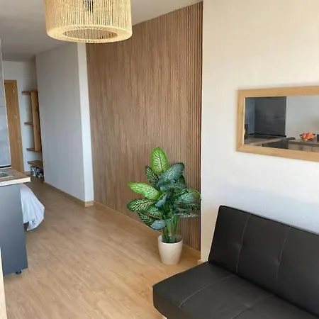 Apartment Le Atic Penthouse