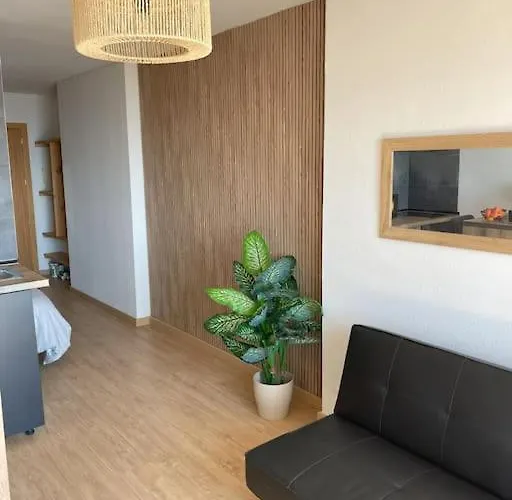 Apartment Le Atic Penthouse